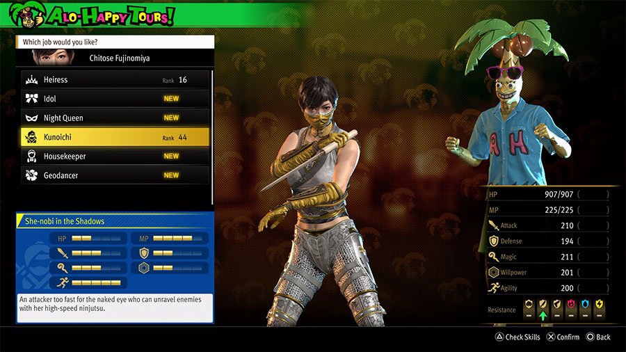 An image showing the skills, abilities, and stats of the Infinite Wealth Job Kunoichi