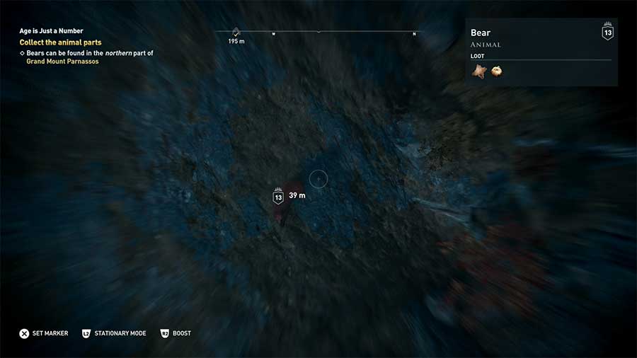 Where To Find Bears In Assassin's Creed Odyssey
